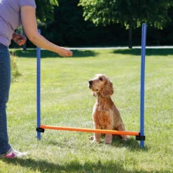 Agility aitaeste Trixie 123 x 115 cm