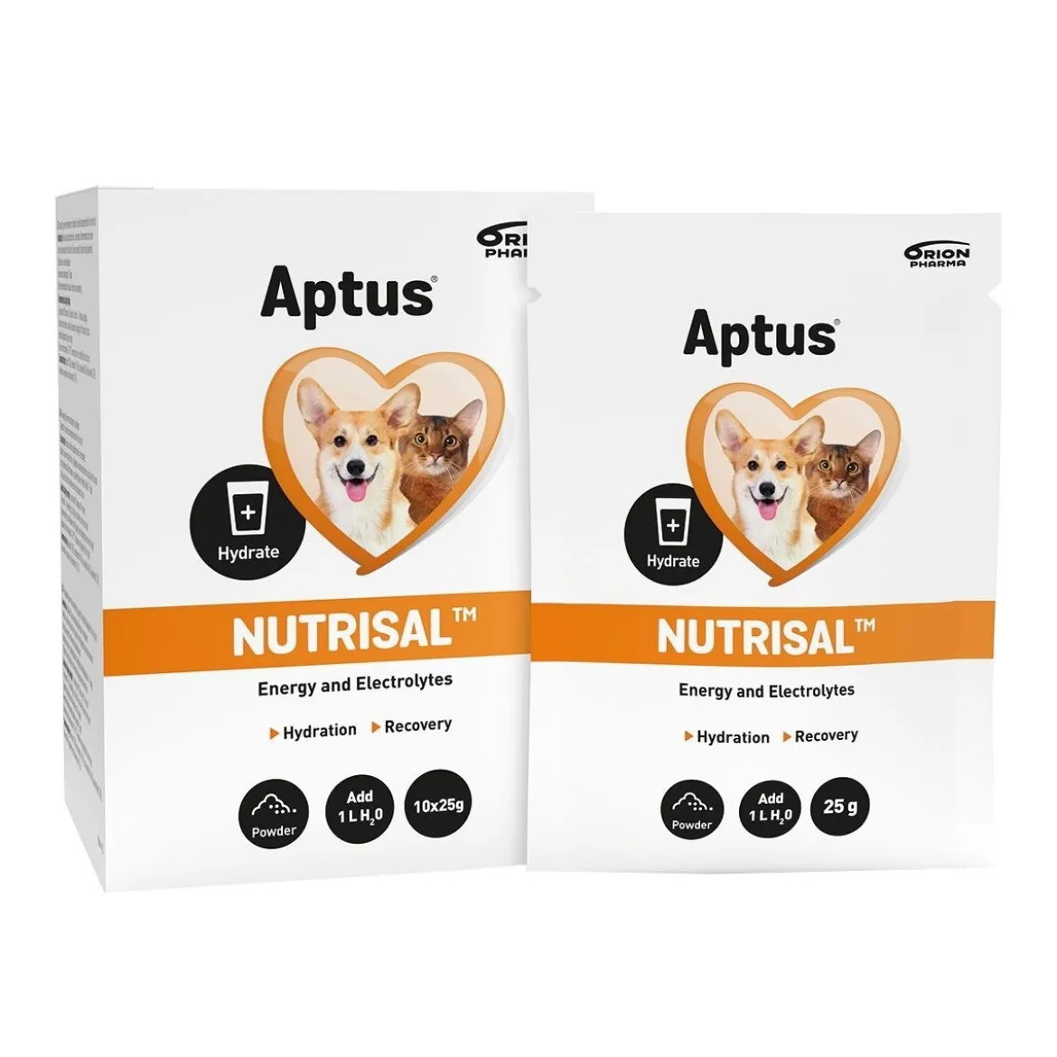 Aptus Nutrisal jauhe 10 x 25 g