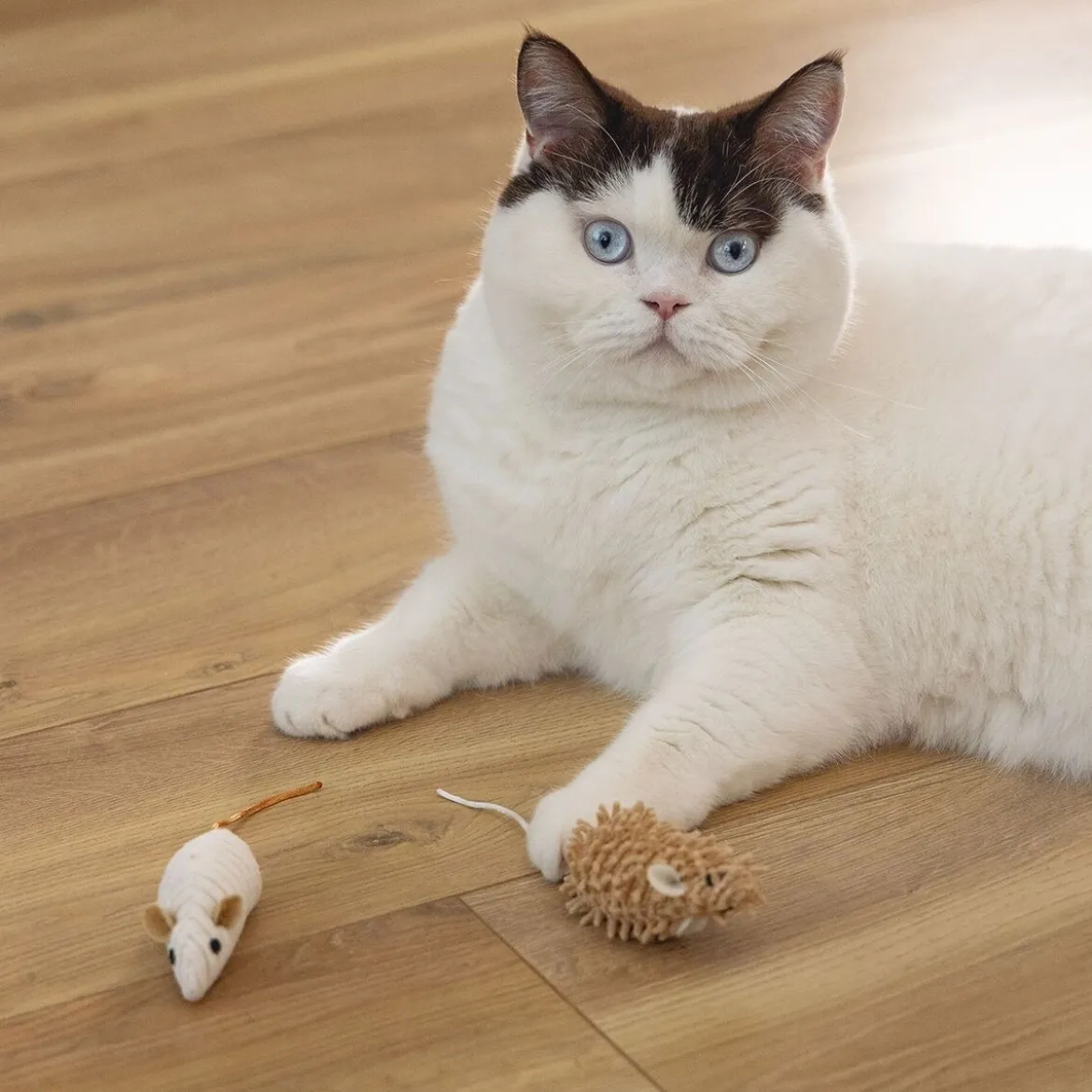 Beeztees Eco Cat Mice Seerp