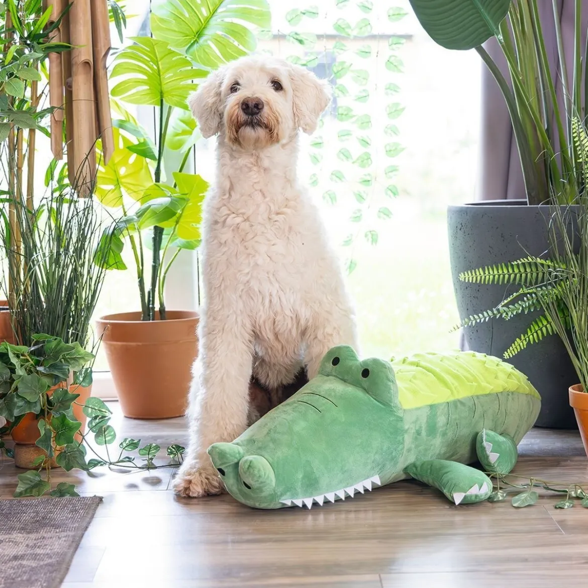 Beeztees Hide N Seek Jungle Crocodile
