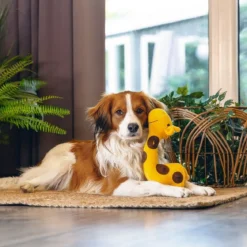 Beeztees Hide N Seek Jungle Gigi Giraffe