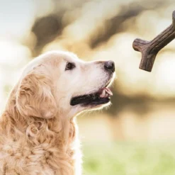 Benebone Bacon Stick