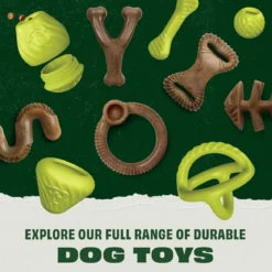 Benebone Bounce Ball