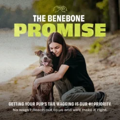 Benebone Bounce Cone