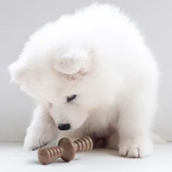 Benebone Puppy 2 kpl - Maplestick/Zaggler Bacon Tiny