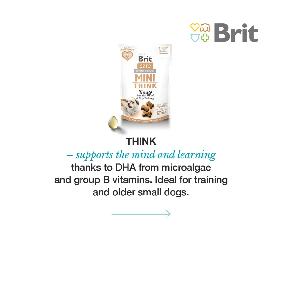 Brit Care Dog Miniherkut THINK 50 g
