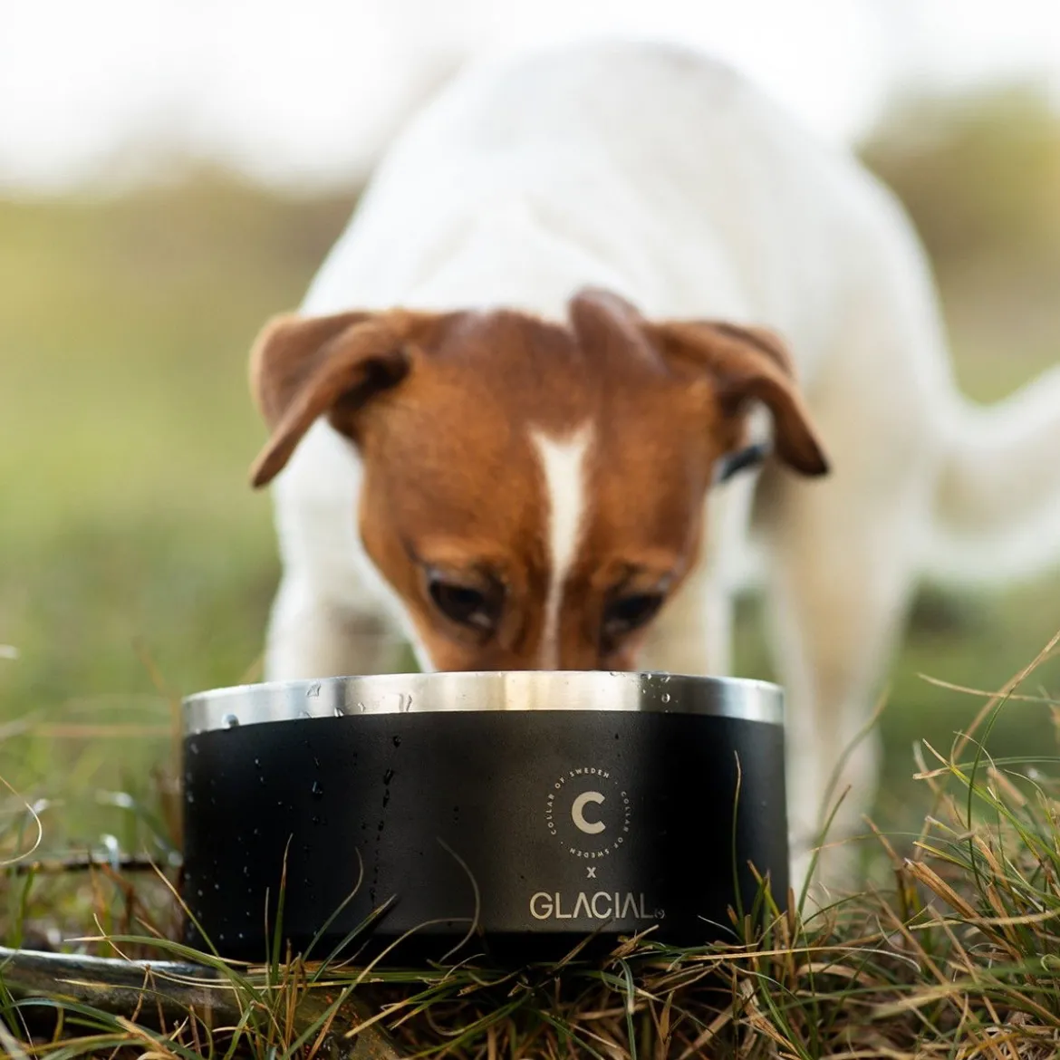 Collar of Sweden teräskuppi liukuesteellä