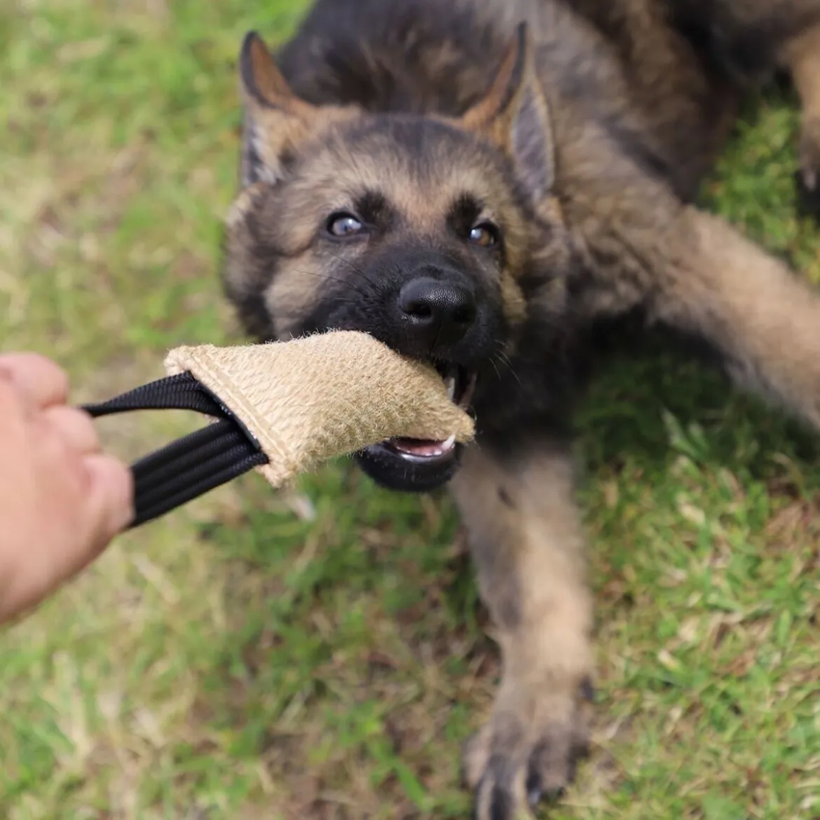 Dingo Gear Kamprulle i Jute med 1 Handtag 40 cm