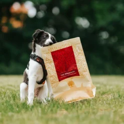 ESSENTIAL the BEGINNING SMALL BREED