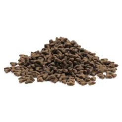 ESSENTIAL The LITTLE LION