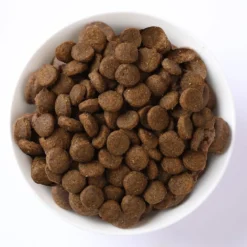 Farmina N&D Pumpkin Dog Venison&Apple S 2kg
