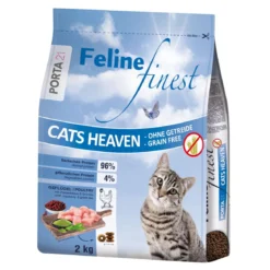 Feline Porta 21 Finest Cats Heaven