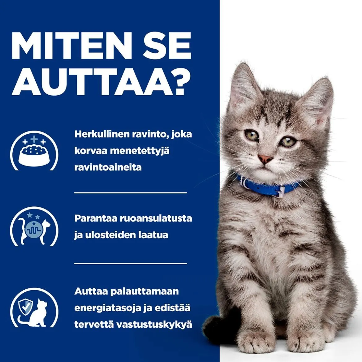 Hill's Prescription Diet Kitten i/d