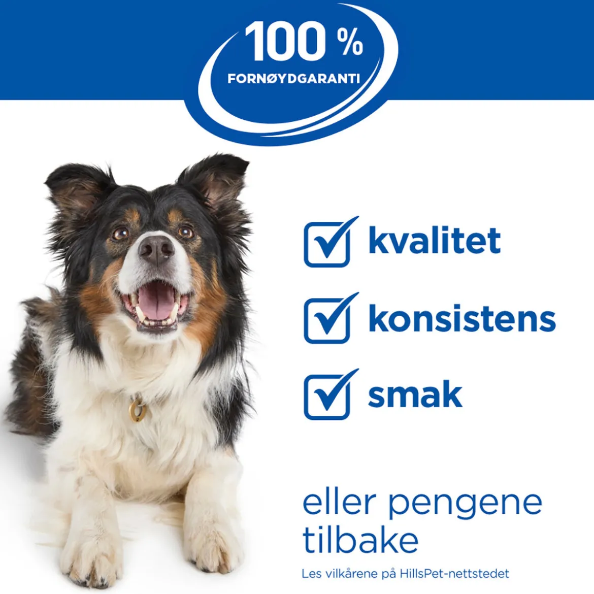 Hill's Science Plan Dog Hypoallergenic Salmon 363 g