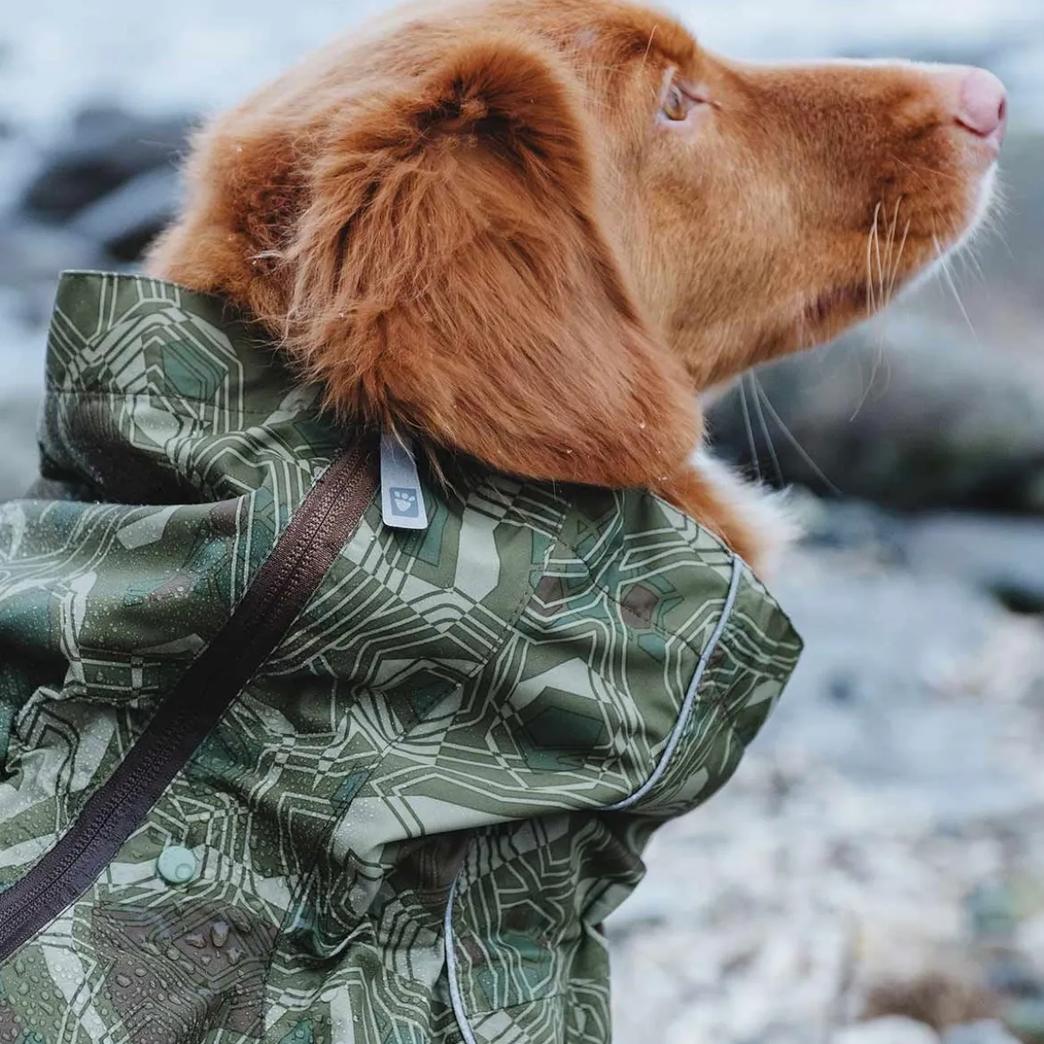 Hurtta Downpour koiran sadehaalari camo