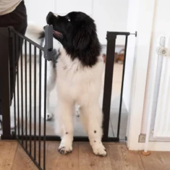 Jatkopala DogSpace Lassie 7 cm 2 kpl, musta