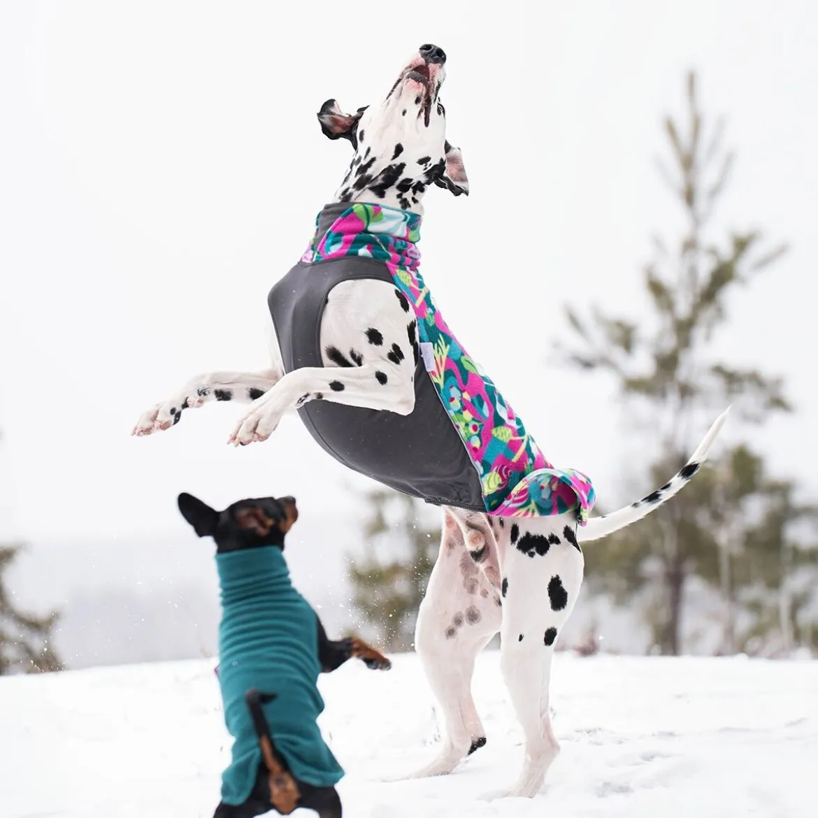 JumppaPomppa, Trail