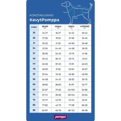 KevytPomppa Rust