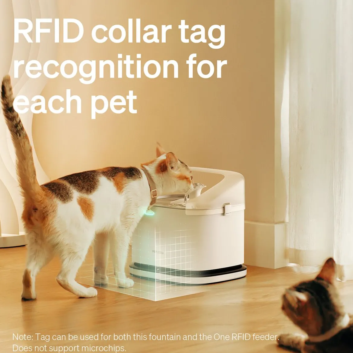 Kissojen juoma-automaatti Petlibro Dockstream RFID Multi Cats