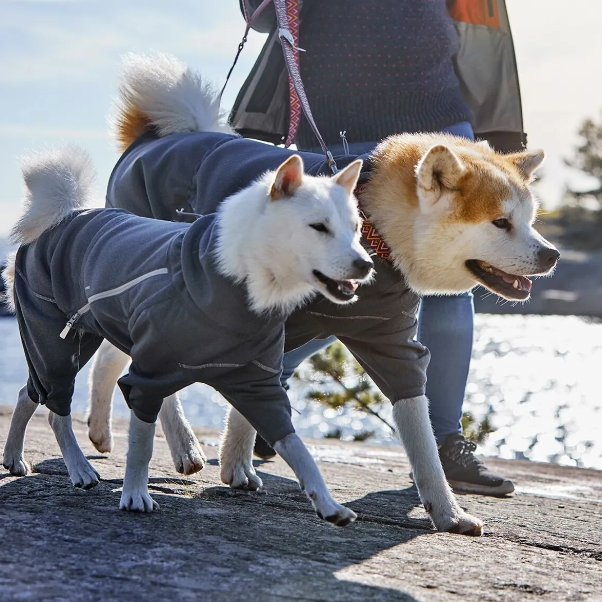 Koiran fleecehaalari Hurtta Midlayer