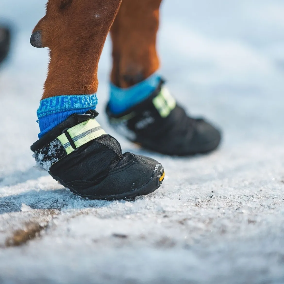 Koiran tossut Ruffwear Summit Trex, Obsidian Black