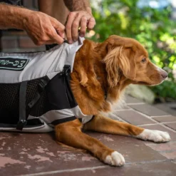 K9 Sport Sack Knavigate, Harmaa