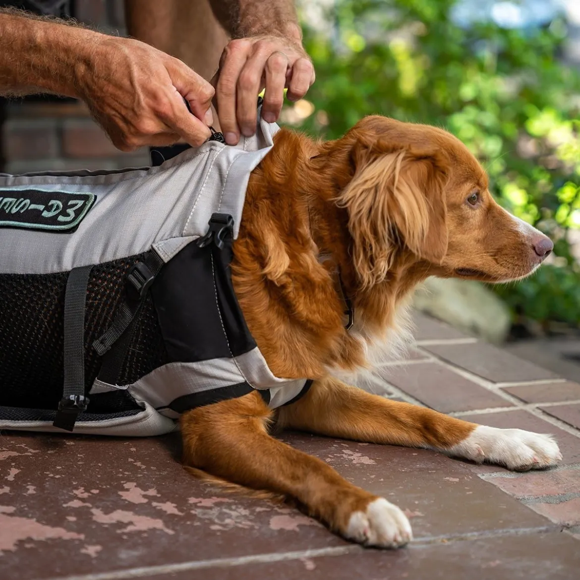 K9 Sport Sack Knavigate, Harmaa