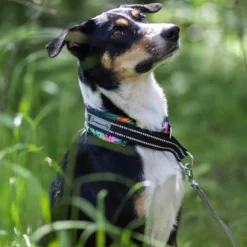 Kusse&Kutta extraleveä lycra-panta, tropiikki