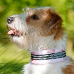Kusse & Kutta puolikiristävä panta, hento ruusu