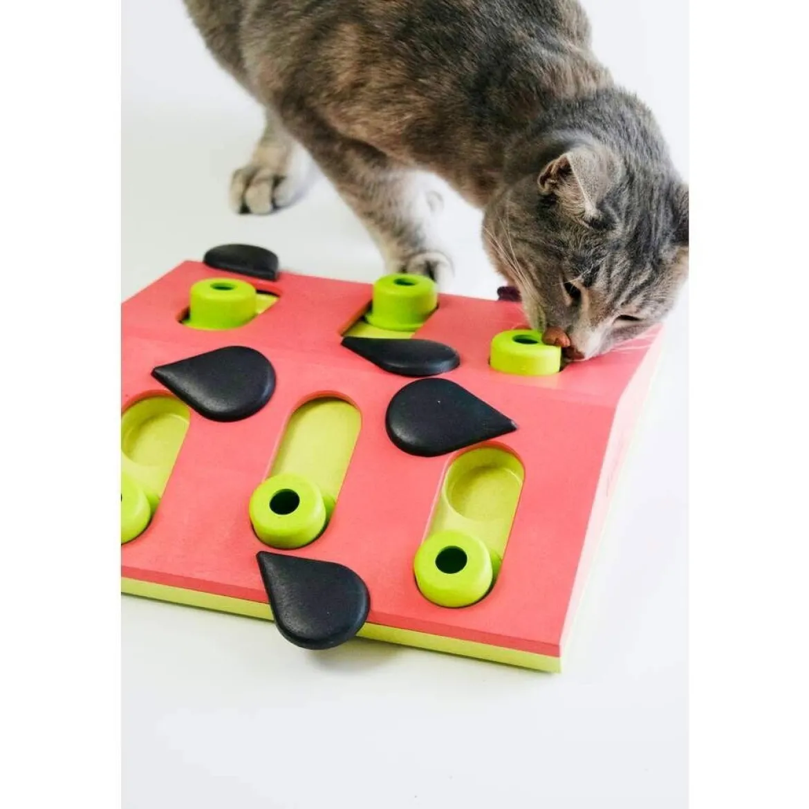 Nina Ottosson Cat Melon Madness Puzzle and Play punainen