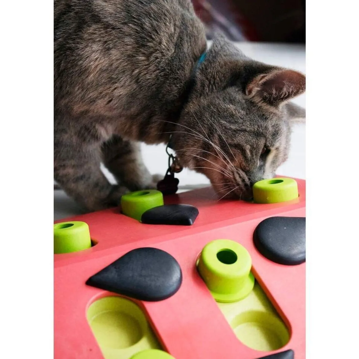 Nina Ottosson Cat Melon Madness Puzzle and Play punainen