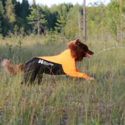 Non-stop dogwear Protector puku, urosmalli