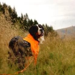 Non-stop dogwear Protector puku, narttumalli