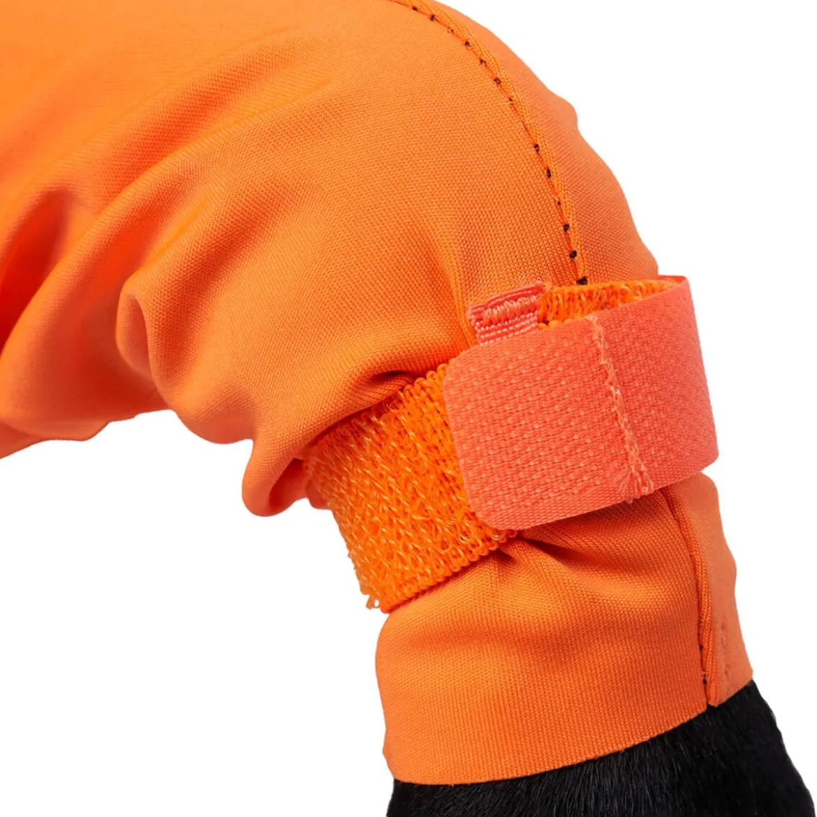 Non-stop dogwear Protector puku, narttumalli