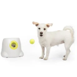 Pallonheittokone All For Paws Hyper Fetch Mini