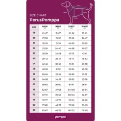 PerusPomppa valjasaukolla, luumu