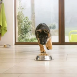 Pro Plan Large Puppy Athletic