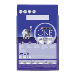 Purina ONE Cat Adult lohi