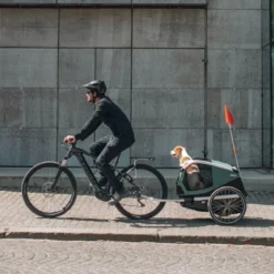 Pyöräkärry koiralle Thule Bexey