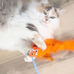 Quirky Kitty kissanonki koikarppi