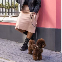 Rogz Urban talutin 180 cm