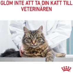 Royal Canin Appetite Control Care