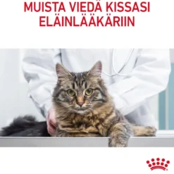 Royal Canin Appetite Control Care Gravy 12 x 85 g