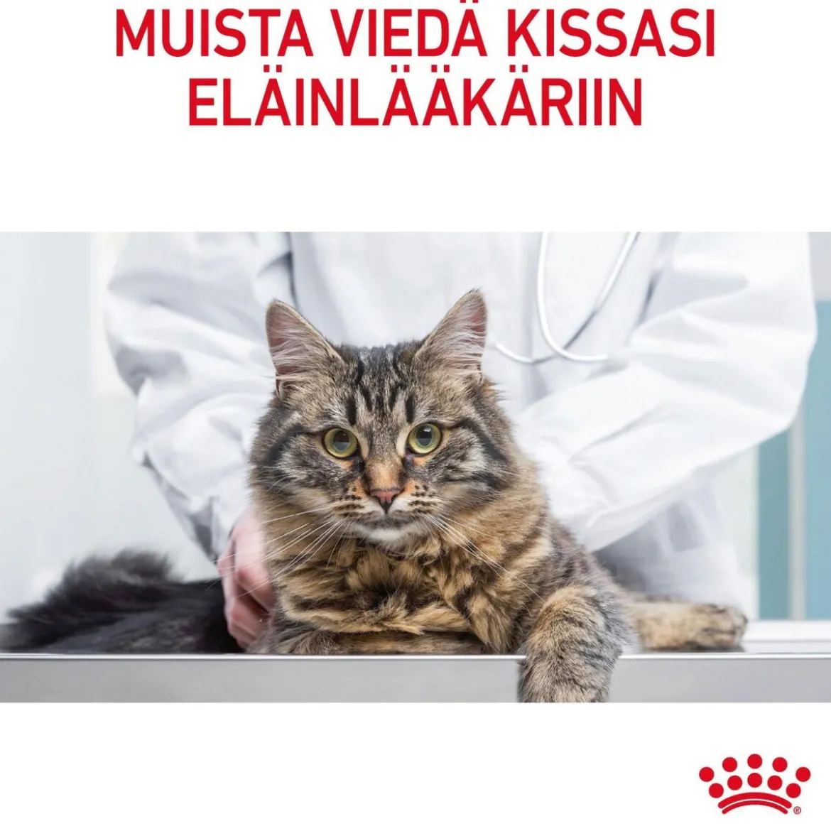 Royal Canin Appetite Control Care Gravy 12 x 85 g