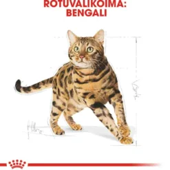 Royal Canin Bengal