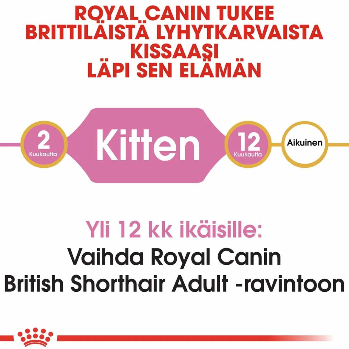 Royal Canin British Shorthair Kitten, 2 kg