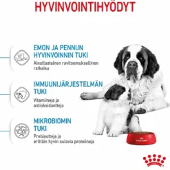 Royal Canin Giant Starter, 15 kg