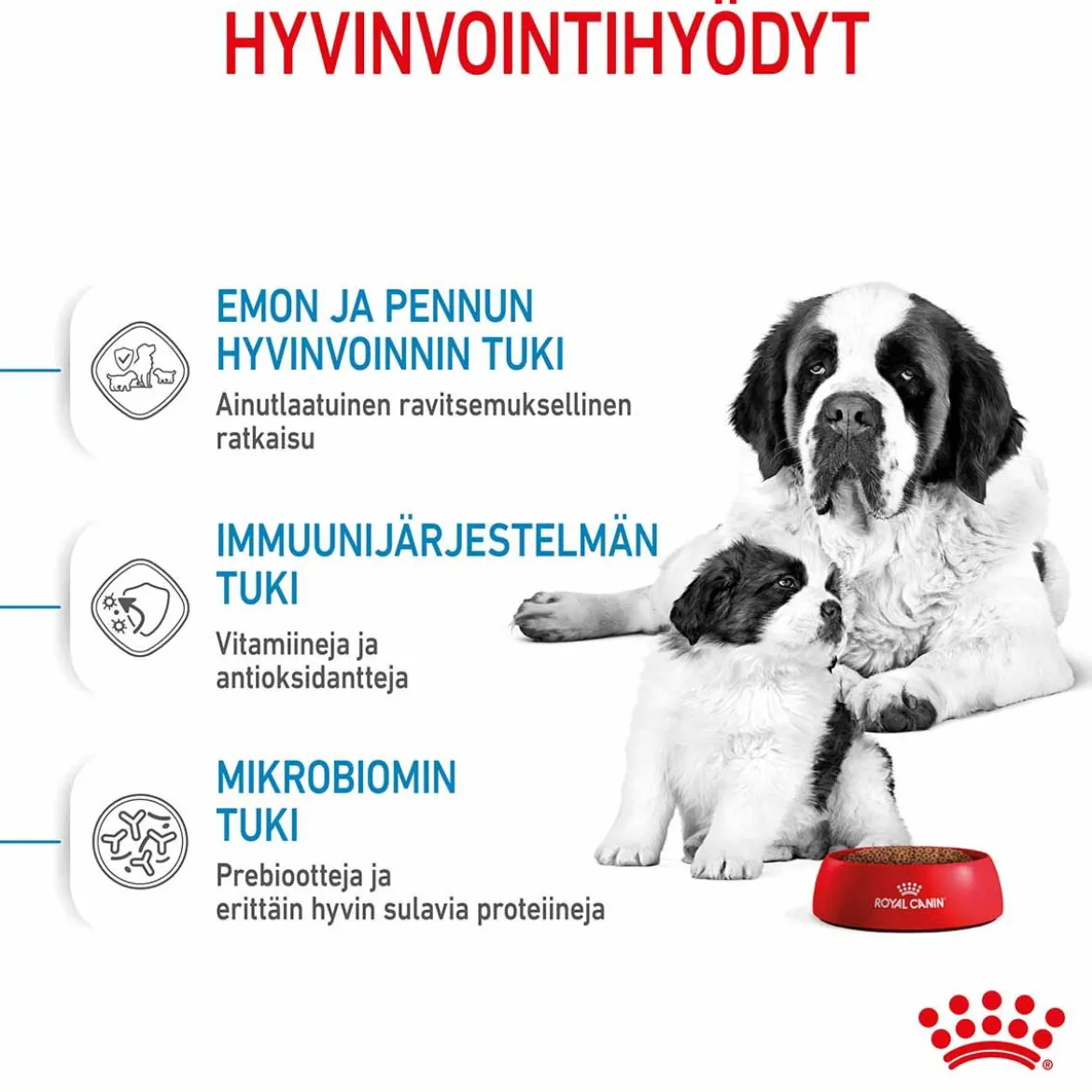 Royal Canin Giant Starter, 15 kg