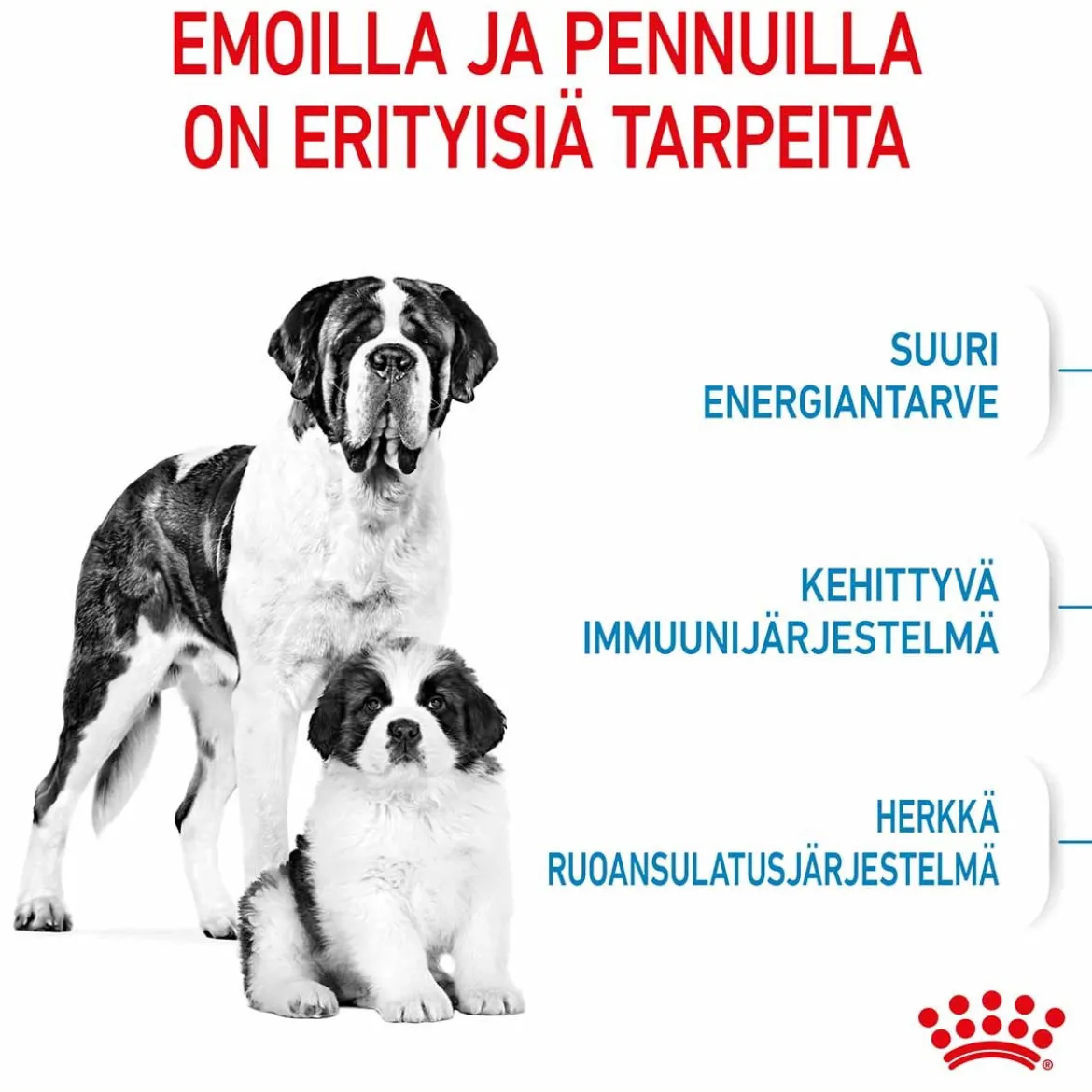 Royal Canin Giant Starter, 15 kg