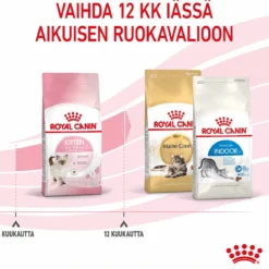 Royal Canin Kitten